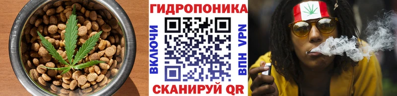 Cannafood конопля Купить где Нелидово