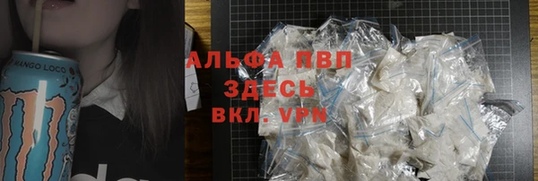 spice Елизово
