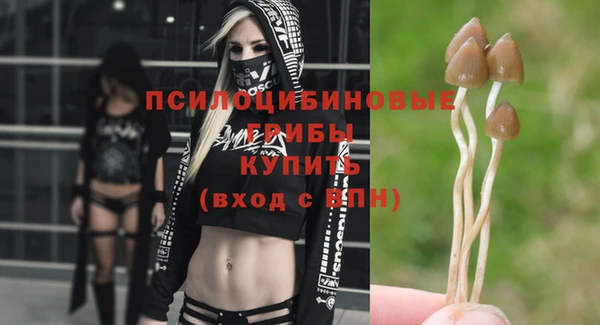 mix Ельня