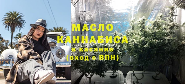 mix Ельня