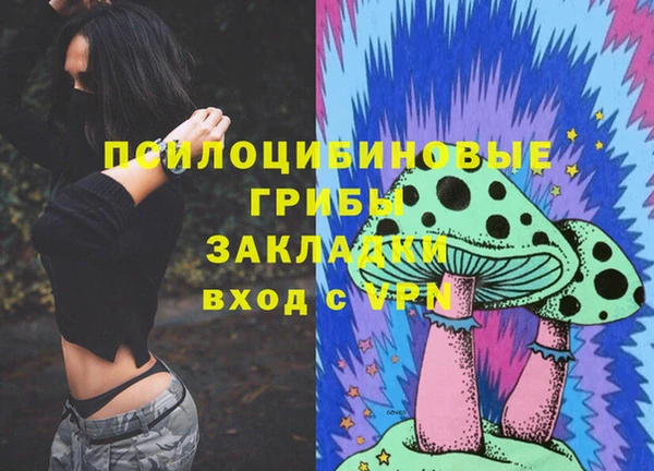 mix Ельня